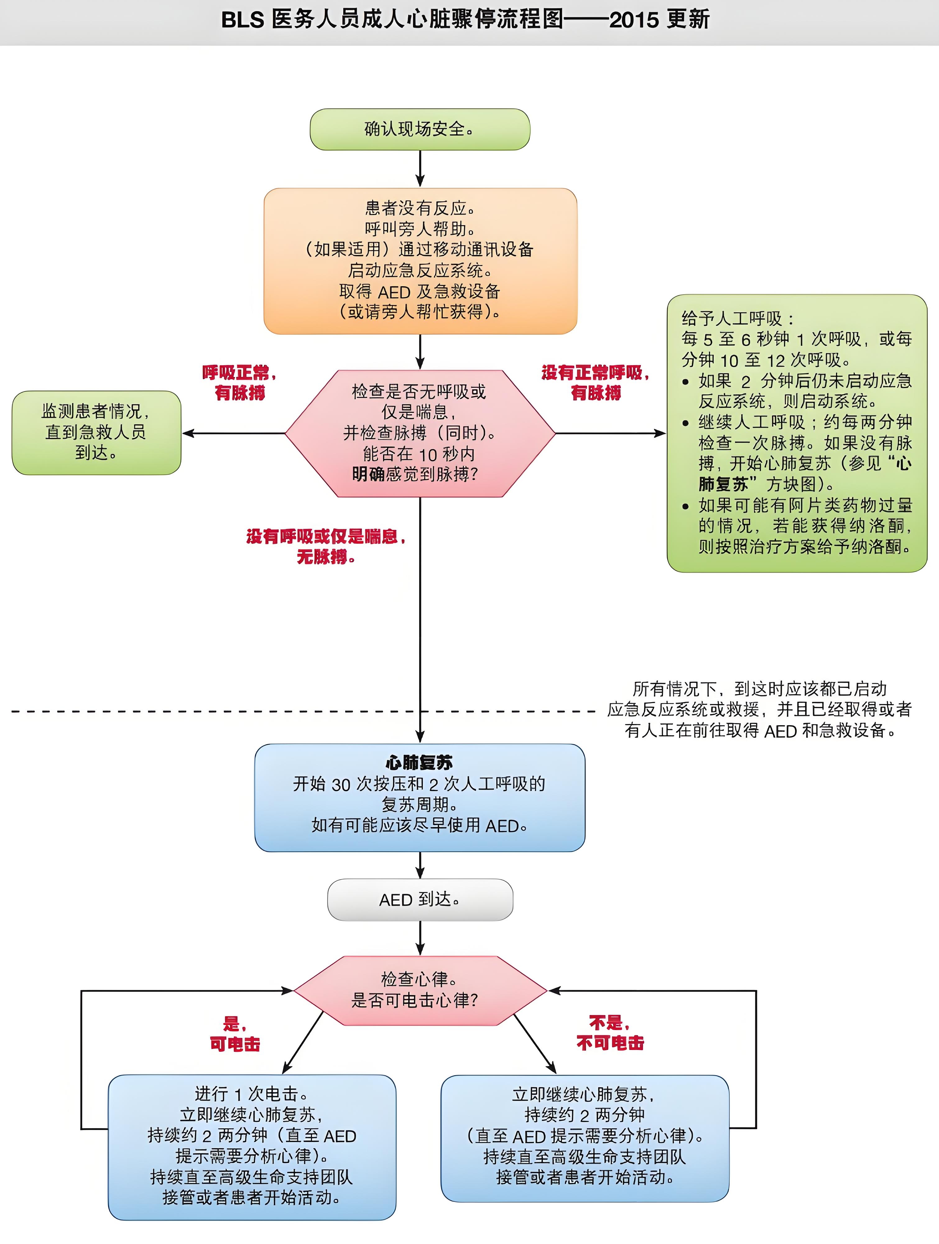 BLS 医务人员成人心脏骤停流程图-第1张图片-医海无涯